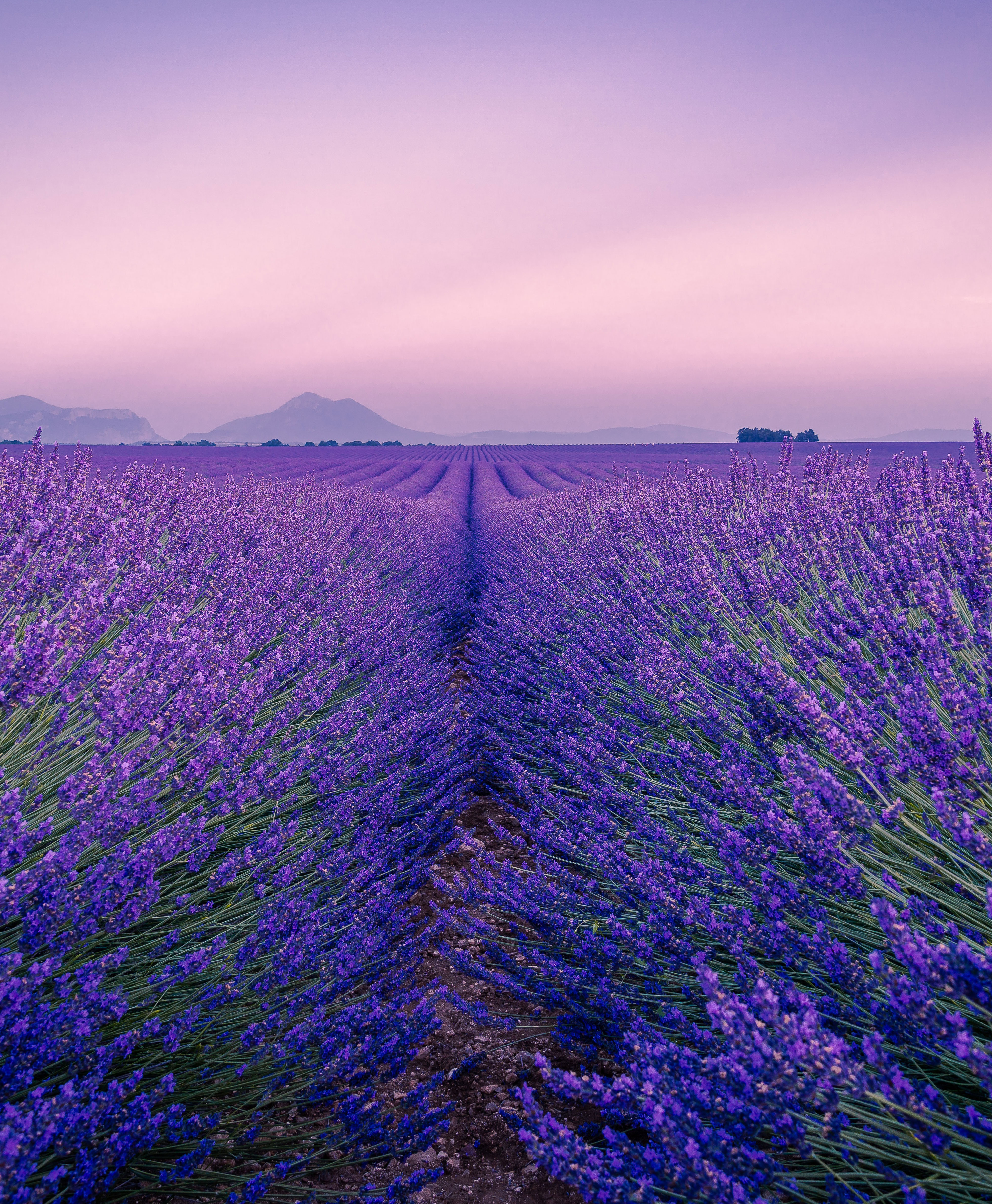 Awesome Images